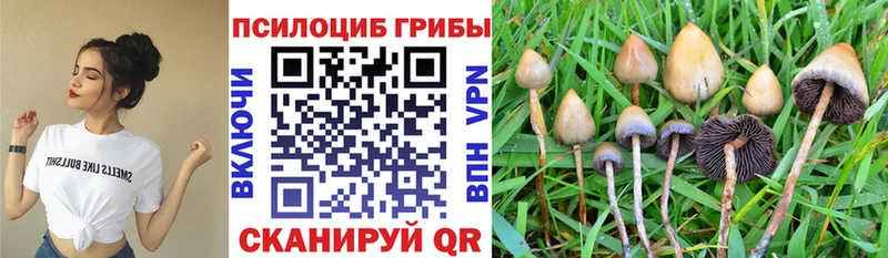 Галлюциногенные грибы ЛСД Щучье